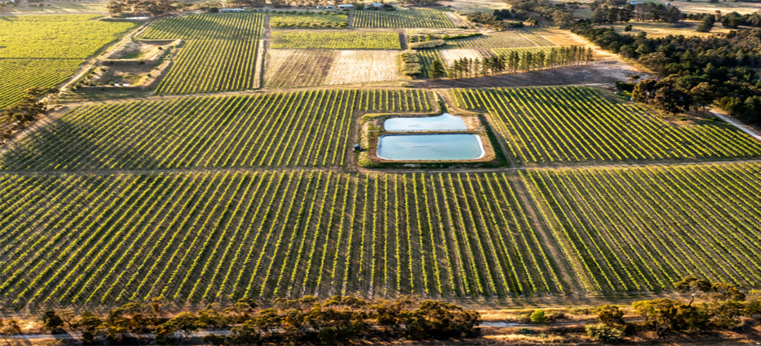 Aerial shot of winery